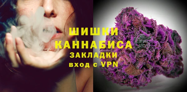 ECSTASY Белокуриха