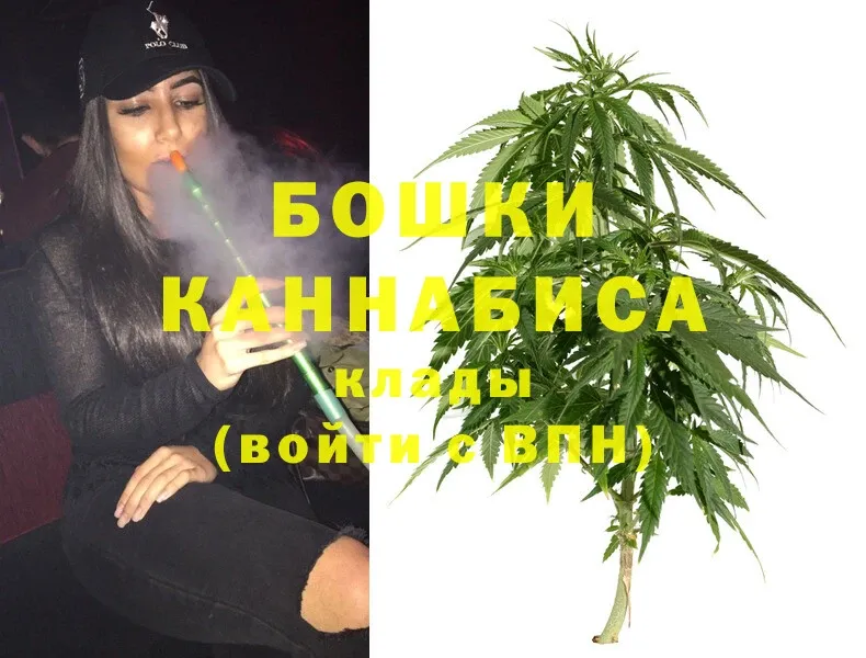 цены наркотик  Кудрово  Канабис Ganja 